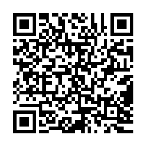 无论是对老佛爷的尊重还是对他现在看起来手脚都受伤的模样二维码生成