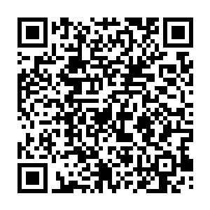 无论是拍照的游客还是匆匆行走的修炼者都没有发现函谷关下站着一个人二维码生成