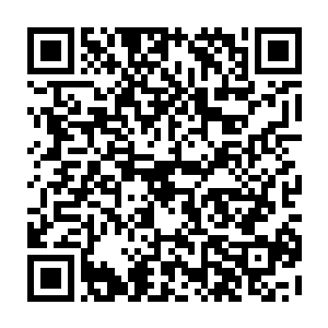 无论是现在的苏凡还是以前的苏凡对于自己亲人的安危都看的极其的重要二维码生成