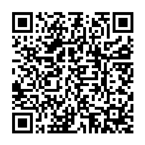 无论是野熊部落的那头老野熊还是火熊部落的那个斯宾塞家族的亲家二维码生成