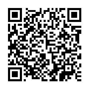 无论杨风如何的进攻都根本就没有办法攻破大力金刚猿的防御二维码生成