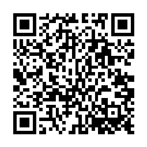 无论用什么方法也要查到他究竟是不是我们碧家的老祖宗二维码生成