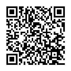 无论表面的糖衣多么精美它本质上是毒药……只看剂量多少二维码生成