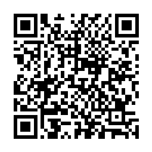 无量至尊可是属于另外九名没有开辟永恒洞世界的永尊之一二维码生成