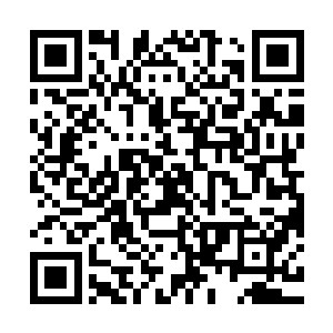 无非他现在所处的世界不是被仙气笼罩而是被各种天地灵气笼罩二维码生成
