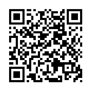 既包括车展和服装展示的模特提供和礼仪服务二维码生成