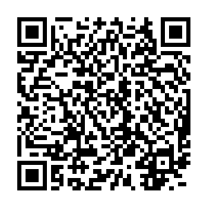 既然他不是真心实意的效忠墨景祁这十年他总不可能什么都没有做吧二维码生成