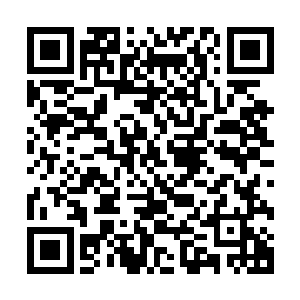 既然你安排他们指引我来到这里说明你已经知道了外面的情况二维码生成