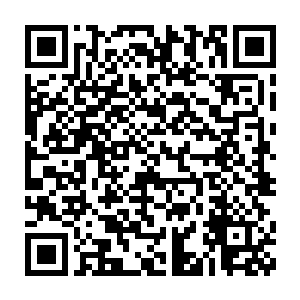 既然你诚心找死……那我倒是一点也不介意斩了秦家的这一根独苗二维码生成