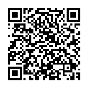 既然我们天龙宗已经成立了现在我们是不是也要搞一个开宗大典二维码生成