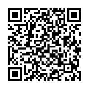 既然截获的这些信号是这个地外文明主动朝宇宙内散播的二维码生成