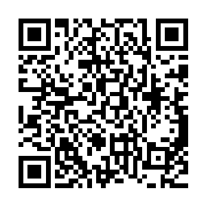 既然无法拯救这一切……我所做的……当然是毁灭这一切……二维码生成