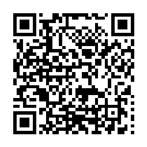 既然没有在第一波发起攻击……那就证明了没有那样的血性二维码生成