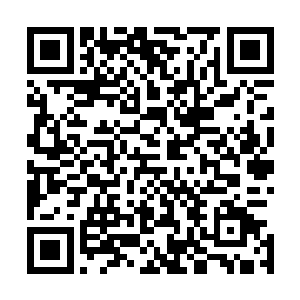 既然灰太狼的存在对原始森林的生态平衡造成了重大的影响二维码生成