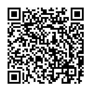 既然言左左敢这么明目张胆的偏袒付子欣那个小贱人而诋毁他们苏家二维码生成