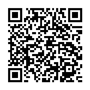 既然认定神将府隐瞒了跟血兵对战时死亡的神将府军士的人数二维码生成