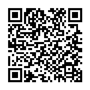 既然陈晓刀绑架李姐的最终目的是让你出现在他的面前二维码生成