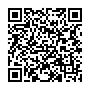 日后如果能将他体内武学库里边的数据转移到墨枢体内二维码生成