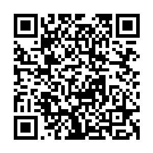 日记里有关我的描述在时间上和人物构成上都组织得准确而严密二维码生成