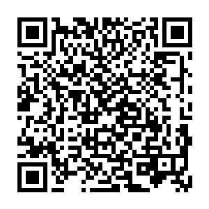 早上六点离开潜龙岛的第一艘客轮就被离开潜龙岛的客人挤得满满当当的二维码生成