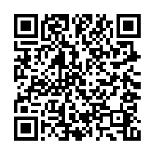 早上装的满满的摆出来的玻璃器皿也很快见了底二维码生成