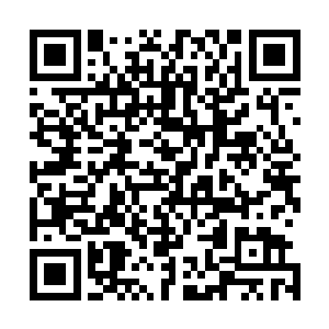 早先建立的城池说到底最后被他们自己制造的垃圾给淹没了二维码生成