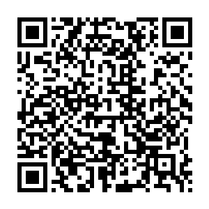 早在成亲之前叶璃就已经将定国王府的成员们的身份记得差不多了二维码生成