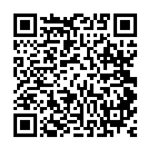 早在我第一次去青塘的时候我就与青谊结鬼章这样的猛士订交二维码生成