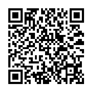 早就公之于众在模型玩家的群体里面流传甚广了二维码生成