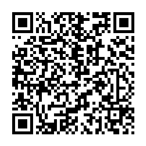 早就坐在一旁的花无俊忍不住凑上去在小家伙娇嫩的脸蛋上亲了一口二维码生成