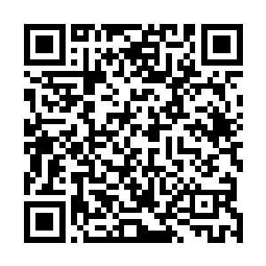 早就已经过了用战绩和kda去评价一个选手是否开瑞的阶段二维码生成