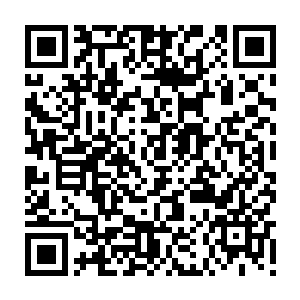 早已在大多数基层妖怪心中都定了个调――在他们眼中似乎无论遇到什么二维码生成