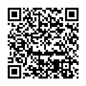 早已好奇满满的流墨墨淡定的无视了血姬冷之前坑她的那一把二维码生成