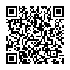 早已经得了凌澜提醒的孙小猴这一次却突然主动抢先出手了二维码生成