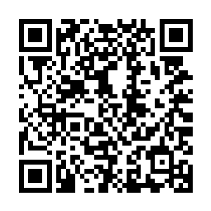 早已经恨不得马上动手了……现在这不过是一个动手的契机罢了二维码生成
