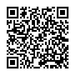 早已经按捺不住的凯撒立刻在碎石地上跑动起来二维码生成