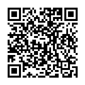 早已被鲜血和杀戮激起潜伏血管深处祖先的野性和血气二维码生成