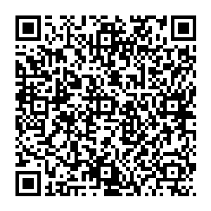 早知道该交给百花的……不过我也就是因为百花整天舞刀弄棒怕带坏了大彪才不这样做……不管怎么样二维码生成