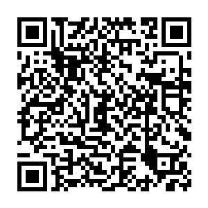 时是以六百万美元的片酬附加百分之十二的北美票房分红形式签约的二维码生成