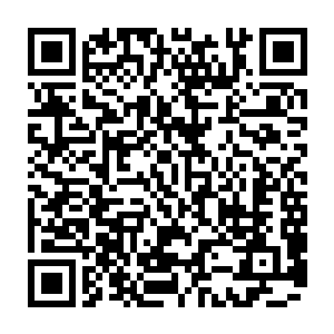 时机成熟追求向往的自由……做出这样的举动都需要极大的勇气和极坚定的意志二维码生成