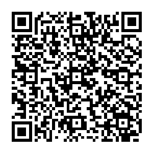 时间一分一秒过去四个人又仔细研究了一番完善了几处小细节后就驾车离开了别墅二维码生成