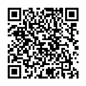 时间在尼古拉斯一次次完虐珍妮的同时飞快地过去二维码生成