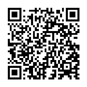 旺财――把你刚才抢到的小蛇塞一个到他的嘴里去二维码生成