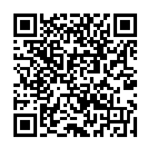 昆汀的话已经表明了苏凡和刺刀的行踪并没有被识破二维码生成