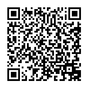 明亮的眸子闪烁着涌动的情绪……就好像他第一次看到莎莉学走路时的模样二维码生成