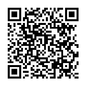 明净清澈的一双眼眸完全是跟颜晓夕一个模子里印出来的一般二维码生成