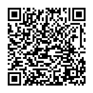 明天我会让刘孜邀请星辰娱乐的那些大主播 大公会的会长來让我请客 二维码生成