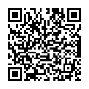 明天沙萨昆塔应该就忍不住了到时候他会约你们去他的部族之中二维码生成