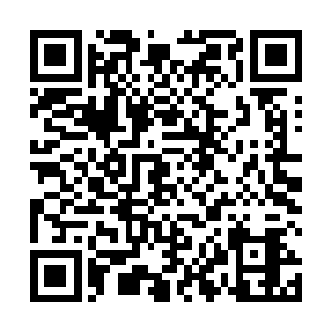 明明是绿龙血脉的他怎么会红龙的血脉能力和寒冰魔法二维码生成