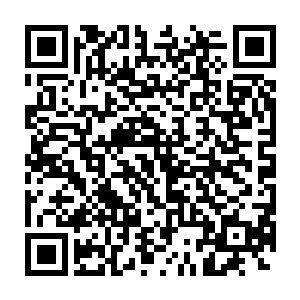 明明是被他们自己家猪给撞破的围墙硬是说到我家猪给撞的还要赔偿二维码生成